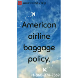 american airline baggage policy