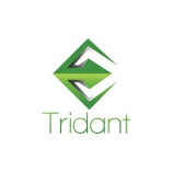 Tridant