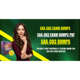 SAA-C03 Dumps