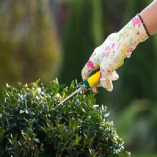Super Gardeners