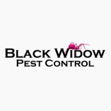 Black Widow Pest Control