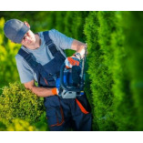 ArboristsBrisbane.com.au