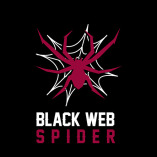 Black Web Spider – Web Design Agency