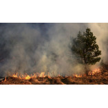 Gateway to the West Smoke Damage Experts