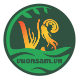 vuonsam2