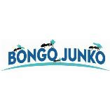 Bongo Junko - Junk Removal Downtown Houston