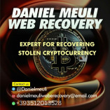 Incredible Service From The Best Hacking Team Daniel Meuli Web Recovery