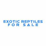 Exotic reptiles for sale