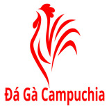 Đá Gà Campuchia Experiences & Reviews