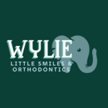 Wylie Little Smiles and Orthodontics