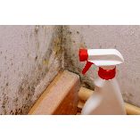 Shopping Paradise Mold Removal Experts