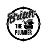 Brian the Plumber