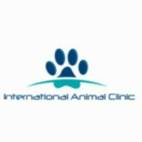 International Animal Clinic