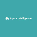 Aqute Intelligence SEO@Experts@@12