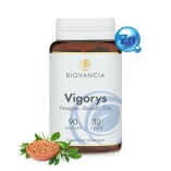 Vigorys