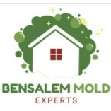 Mold Remediation Bensalem Experts