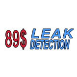 89 Leak Detection