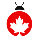 Pest Control Toronto - Maple Pest Control