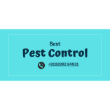 Cockroach Pest Control