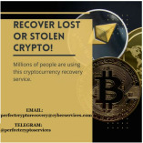 perfect crypto Recovery Services