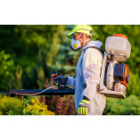 Raleigh Pest Control Solutions