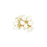 Arkansas Counseling and Wellness Services