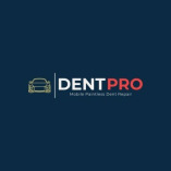 Dent Pro