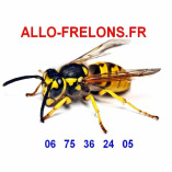 ALLO FRELONS : La référence en France dans la lutte écoresponsable contre les insectes invasifs