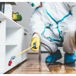 Pest Control Doctor - Professional Pest Control in Melbourne