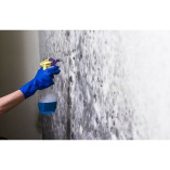 Mold Experts of Baltimore