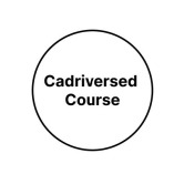 Ca drivers ed course