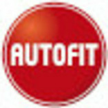 Autofit Ludwig logo