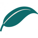 Irina Palatai Coaching logo