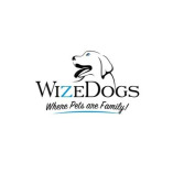 WizeDogs Labradors and Positive Dog Training Academy