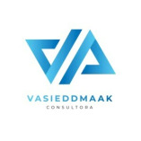 Vasieddmaak Consulting