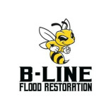 B-Line Flood Restoration