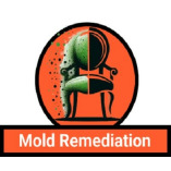 Garland Mold Remediation