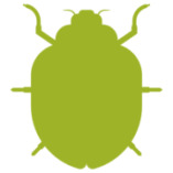 Noplex GmbH Schädlingsbekämpfung & Hygienemanagement logo