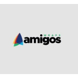 Amigos Wraps Paint Protection Film