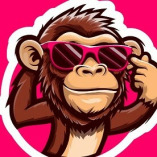 One Time SEO Company – Local SEO Services UK