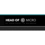 Head of Micro