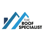 The Roof Specialist