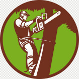 Arborist Lethbridge