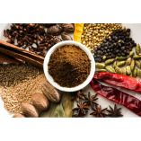 Spice Grinding Project Report for Comprehensive Business Success