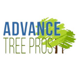 Advance Tree Pros