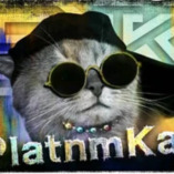 Platnm Kat