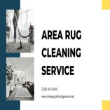 Area Rug Cleaning Service