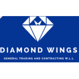 Diamond Wings