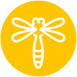 amber marketing