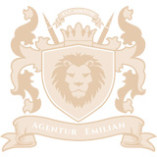 Agentur Emilian logo